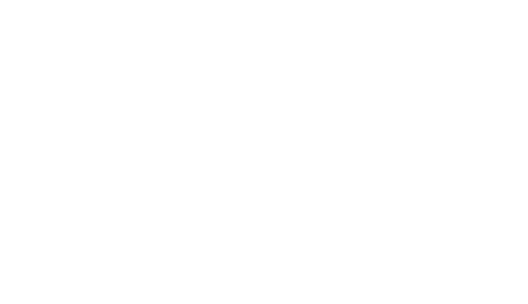 Centro Next Level